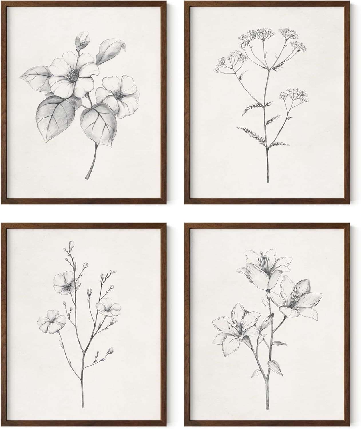 Set of 4 Black and White Botanical Floral Prints with Walnut Frames