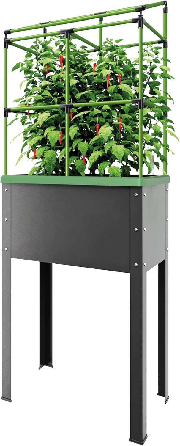 Modern Green and Black Metal Raised Garden Bed with Trellis