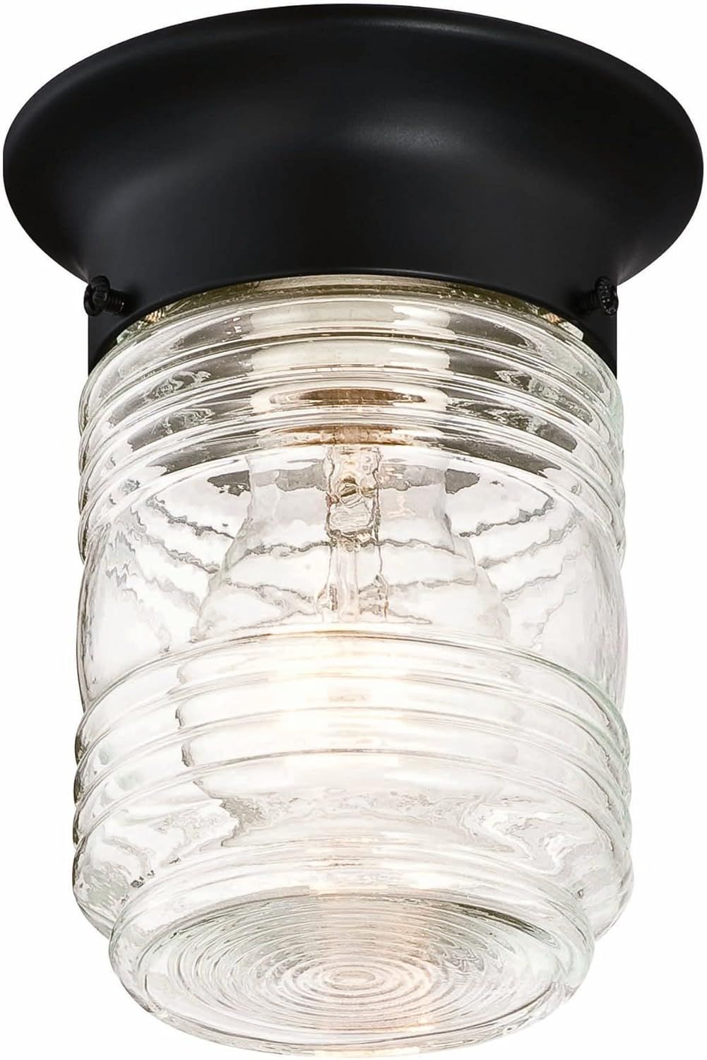 Matte Black Glass Jar Indoor/Outdoor Flush Mount Ceiling Light