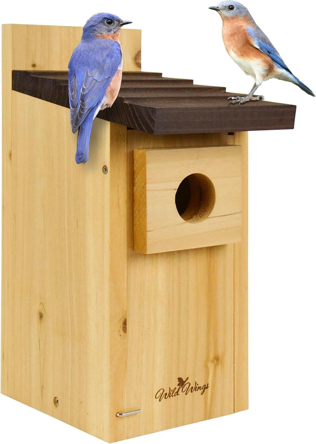 Cedar Bluebird House with Predator Guard and Ventilation