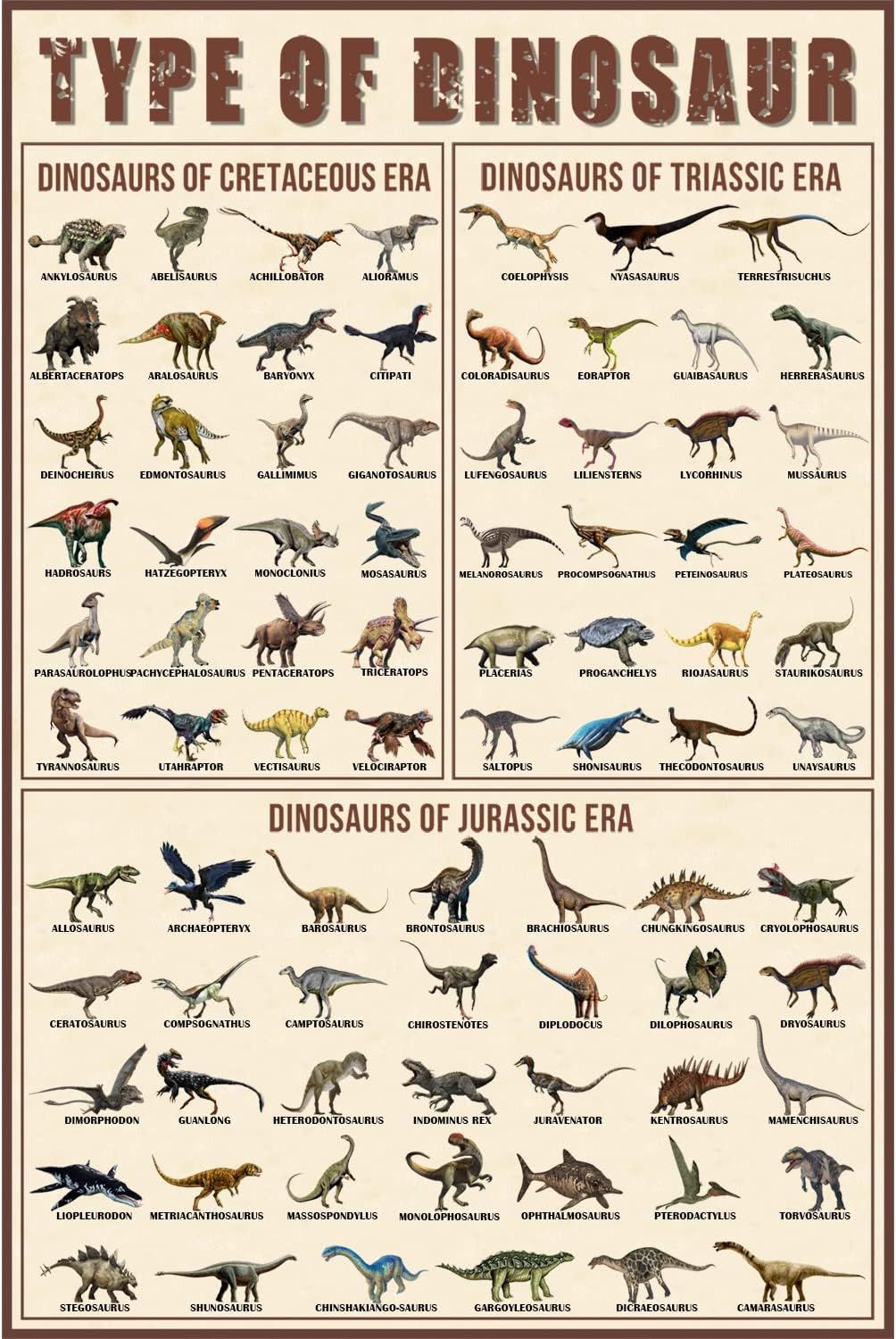 Educational Dinosaur Poster for Kids - 18x12 inches