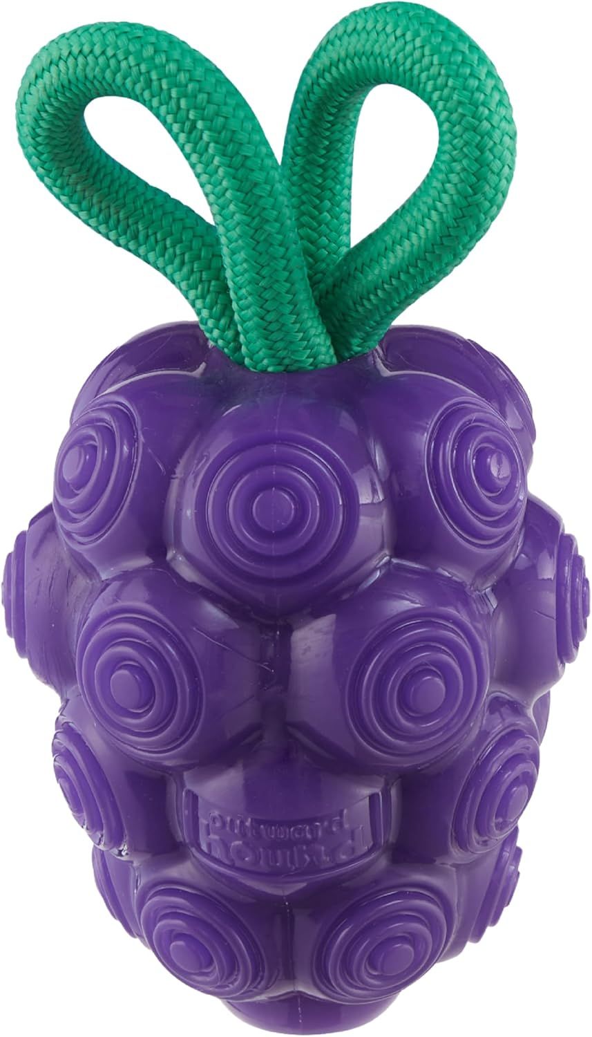 Purple Dental Chew and Treat Dispenser Dog Toy