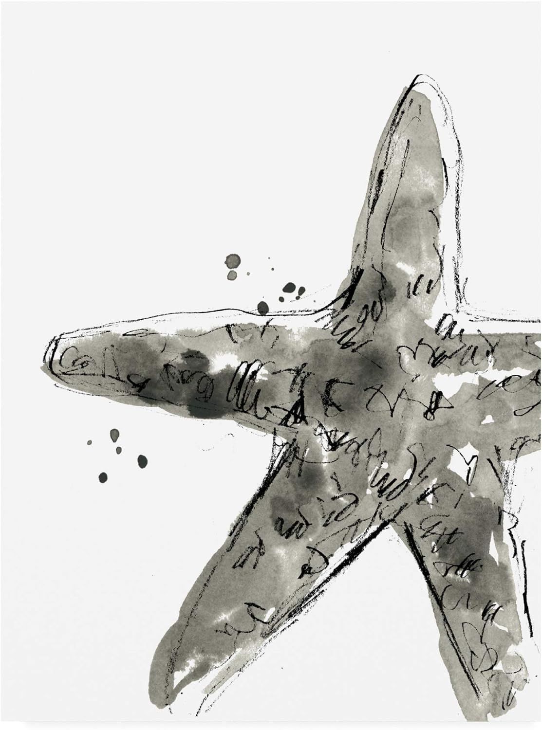 Black and White Abstract Starfish Canvas Print, 18x24