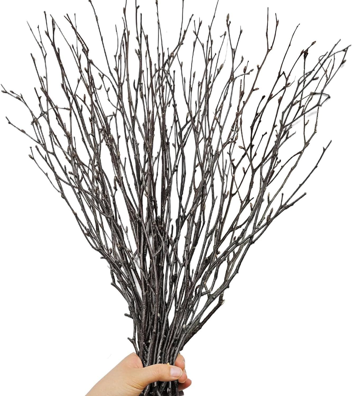 Natural 17" Birch Twigs for Rustic Decor and Crafts