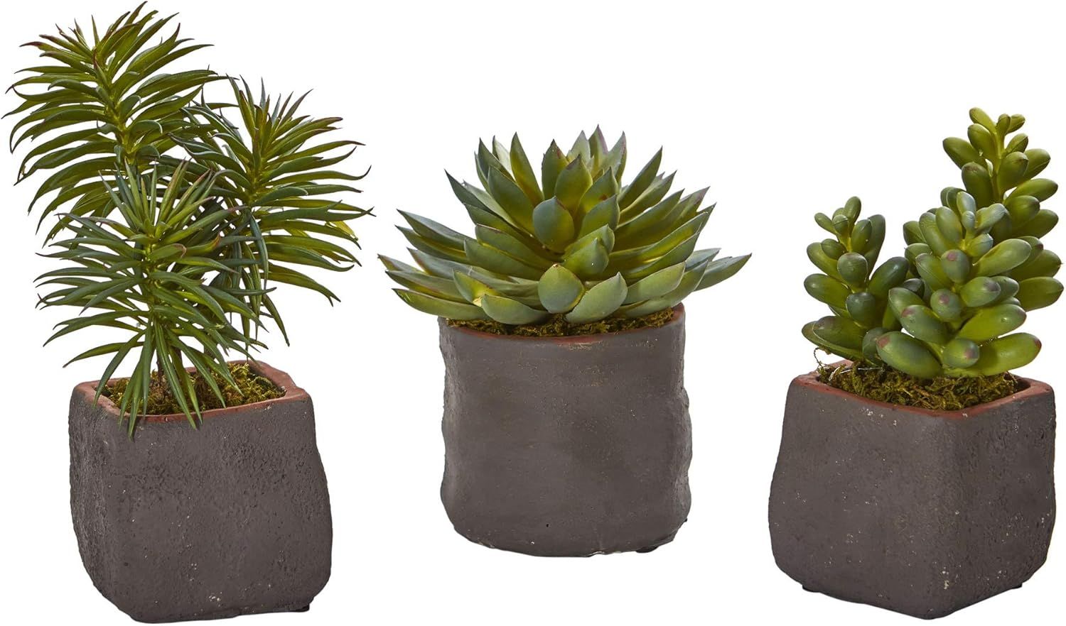 Set of Three Green Faux Succulent Plants in Ceramic Pots