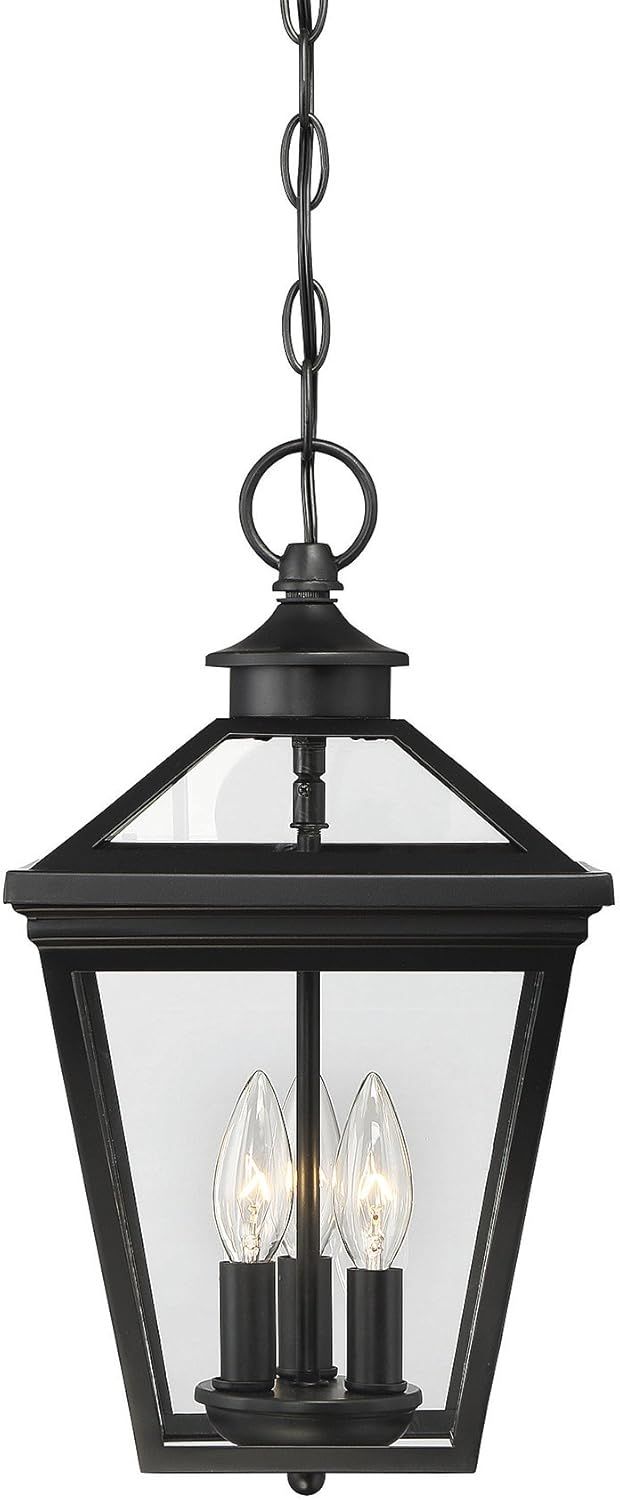 Ellijay Black and Clear Glass 3-Light Outdoor Hanging Lantern