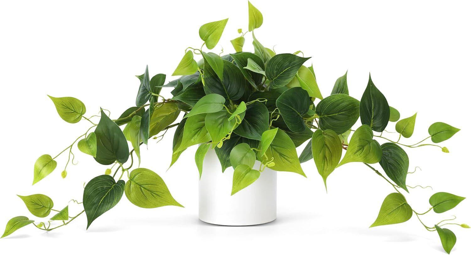 Small Green Silk Eucalyptus Potted Plant in White Ceramic Pot