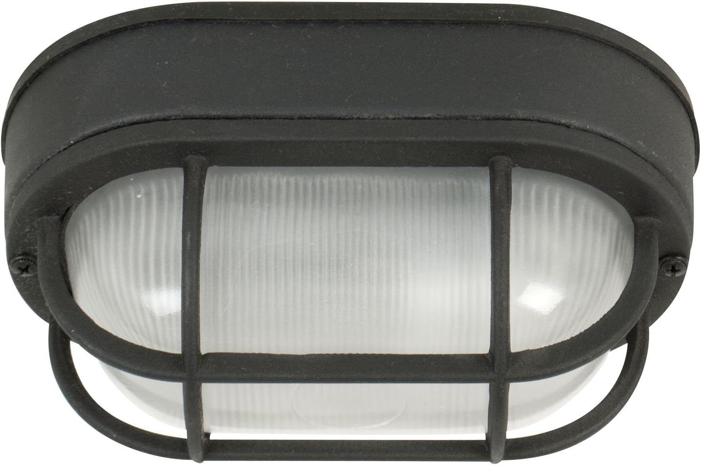 Matte Black and Clear Glass Outdoor Flush Mount Light