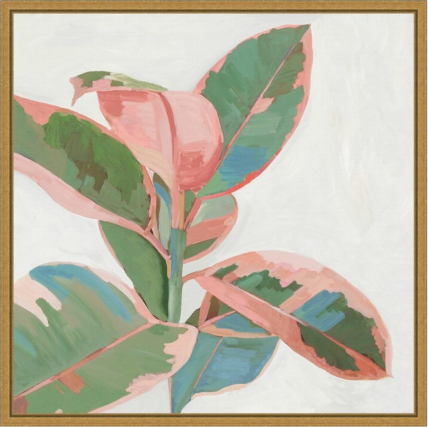 Pink and Green Ficus Canvas Print with Gold Frame