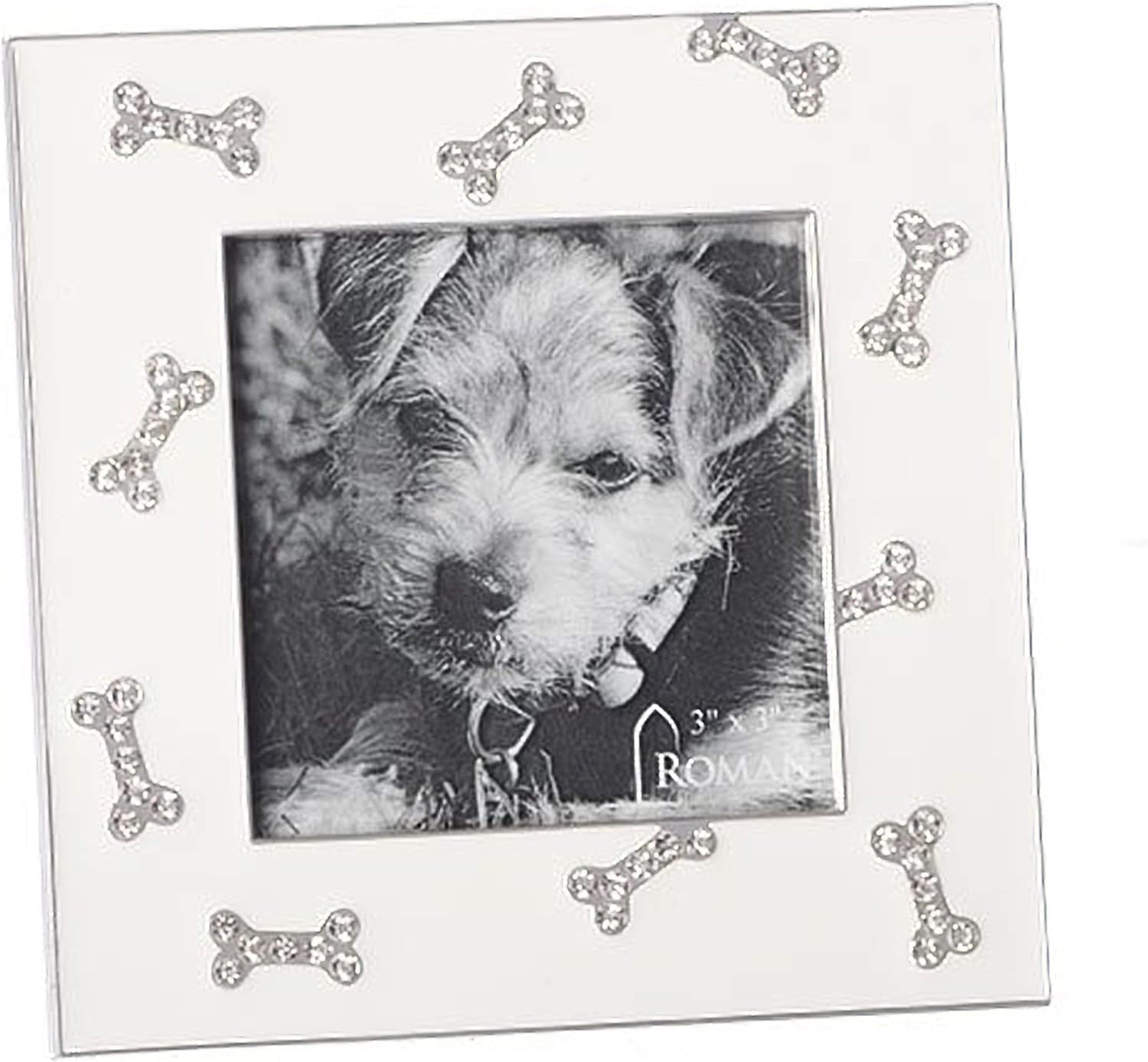 Silver Dog Bone Pattern Tabletop Photo Frame