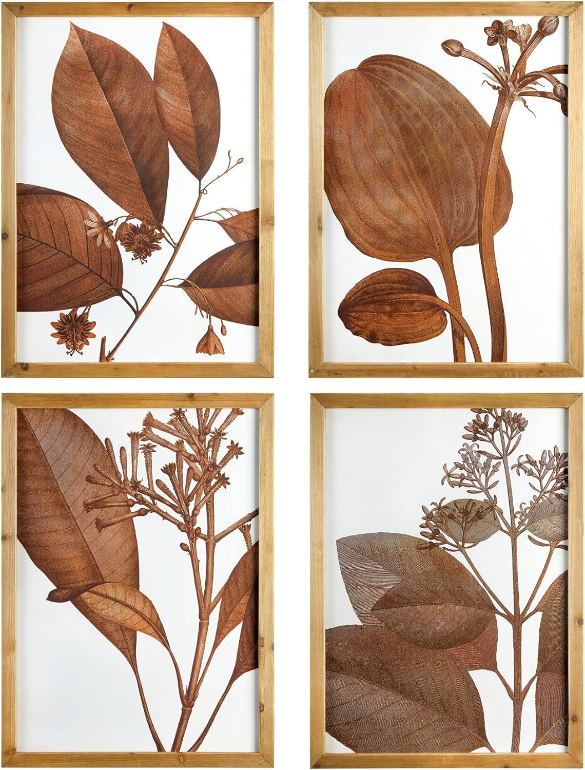 Brown Framed Botanical Graphic Art Prints Set of 4