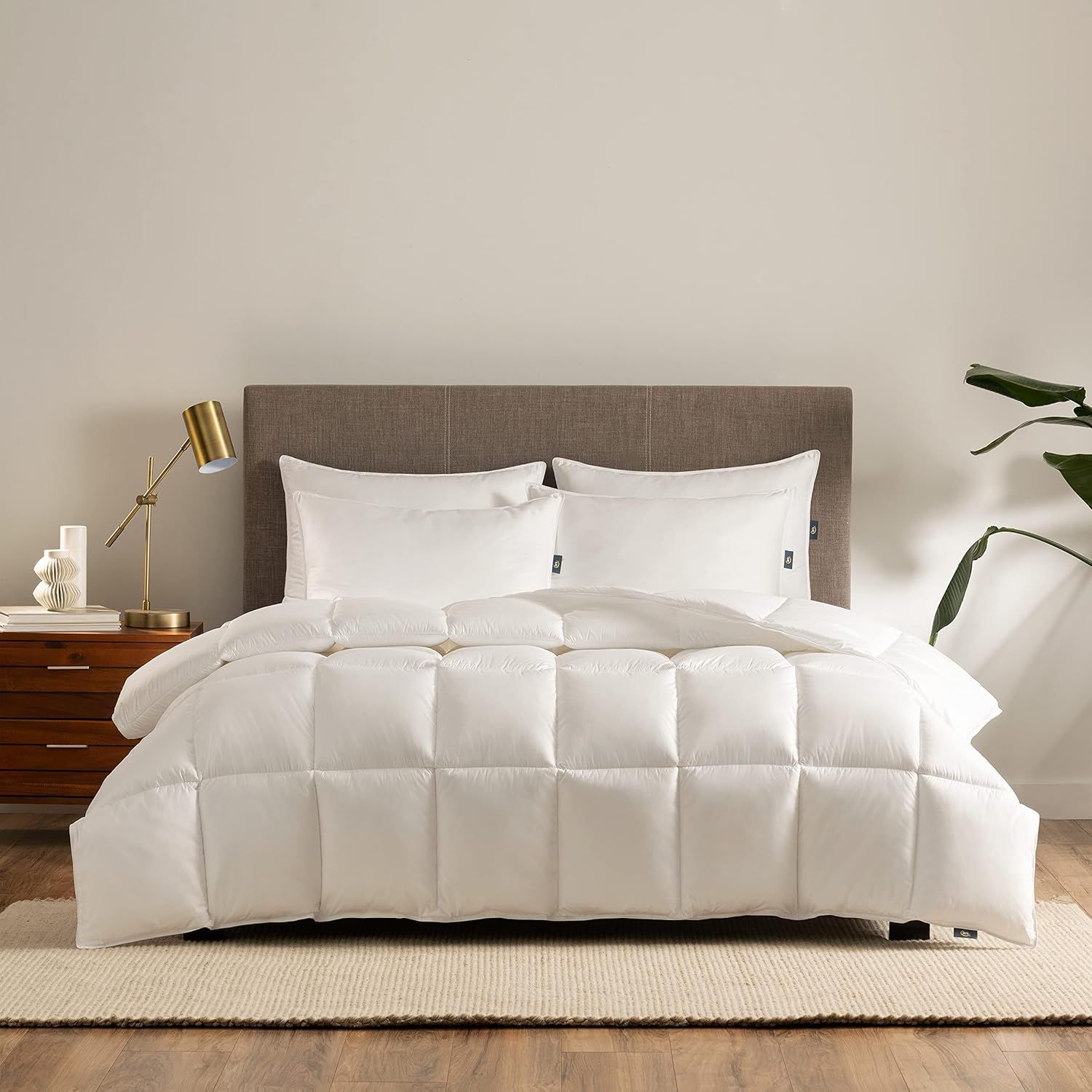 Full White Down Microfiber All-Season Bedspread Set