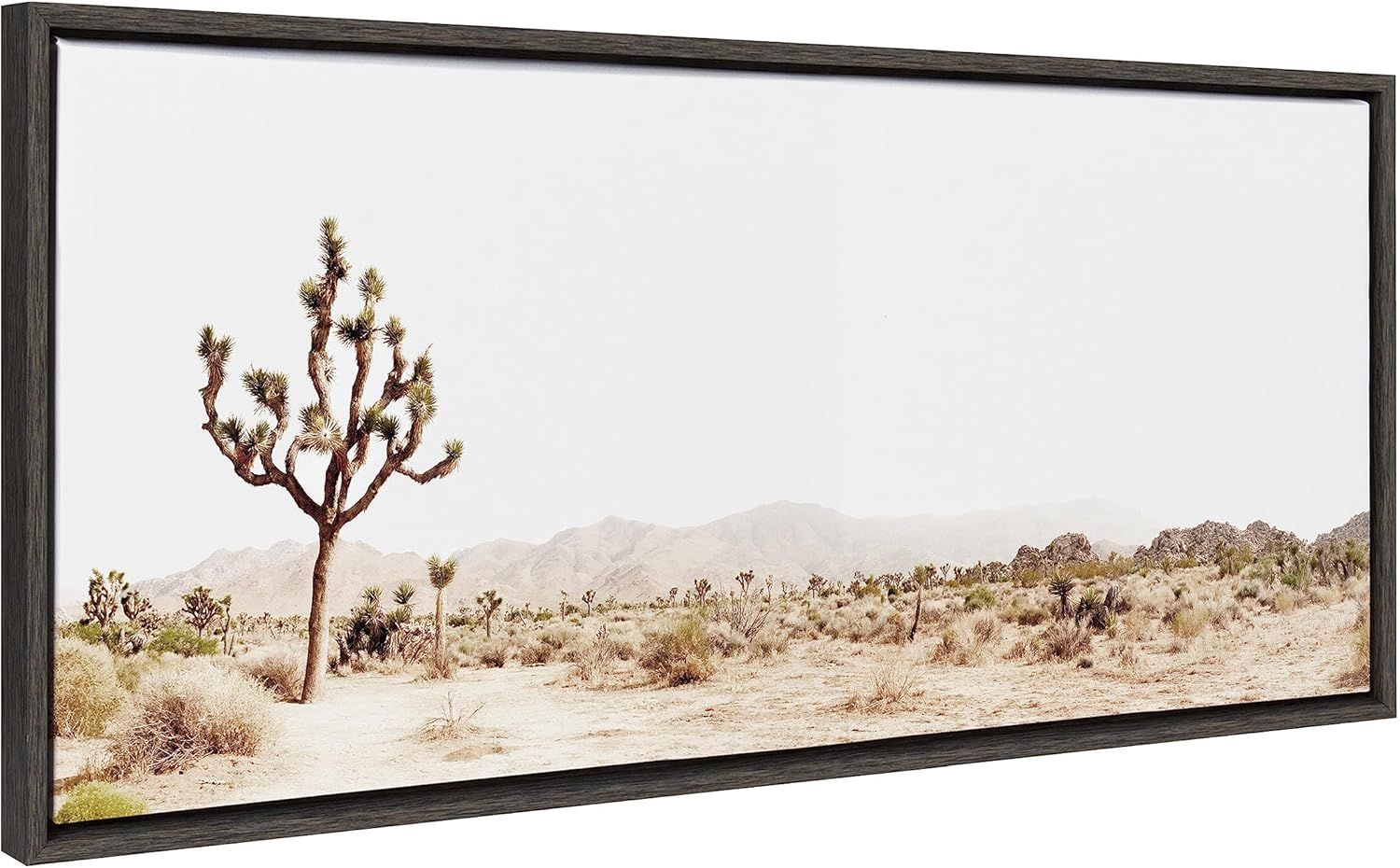 Gray Framed Joshua Tree Desert Landscape Canvas Art, 18x40