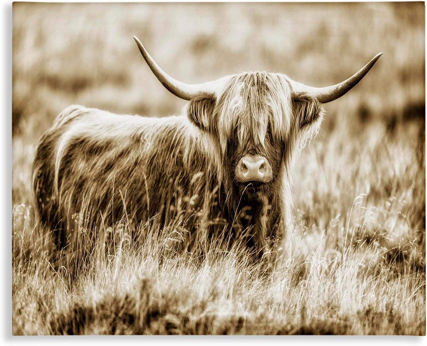 Vintage Highland Cow Sepia Canvas Print with Frame, 25x32