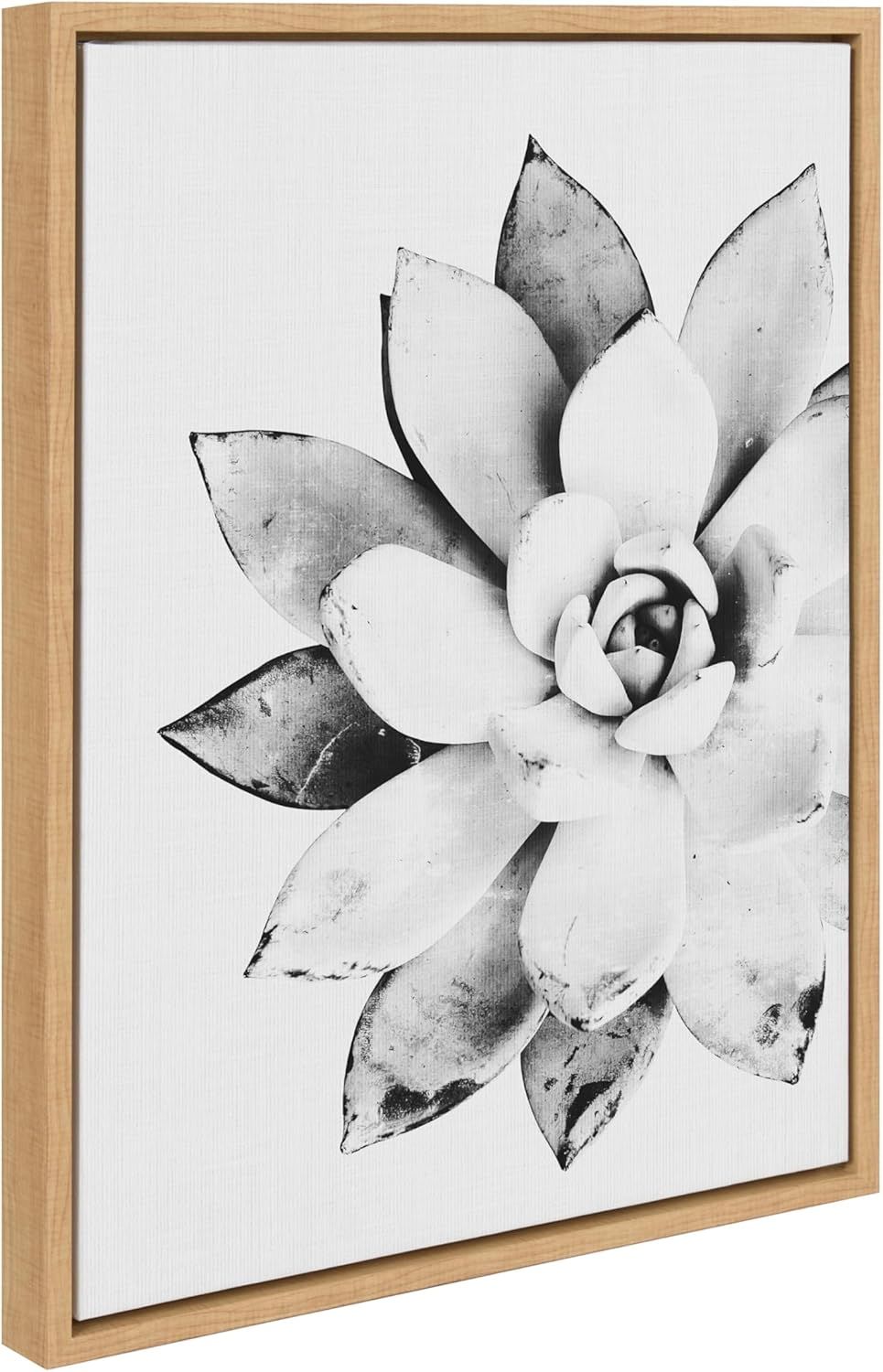 Modern Succulent Black and White Canvas Print with Natural Frame