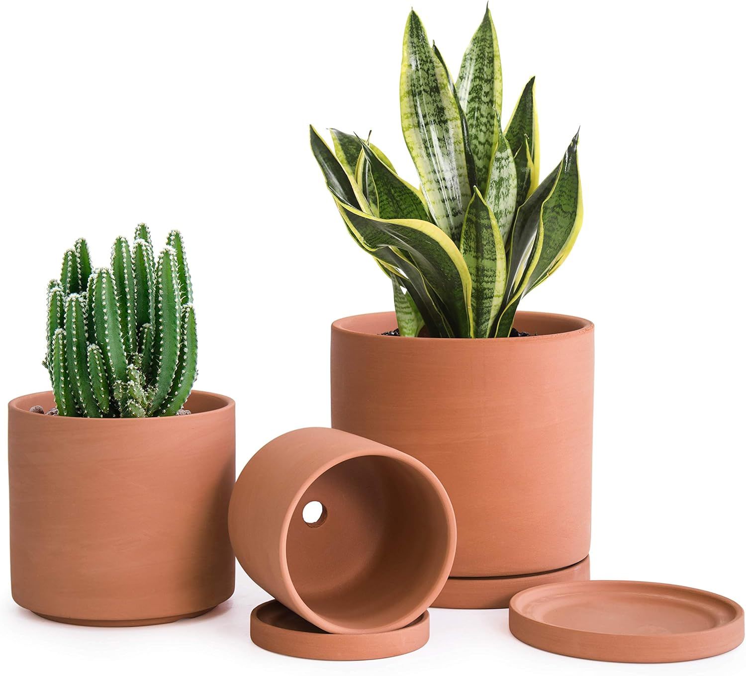 Terracotta Round Matte Succulent Planter Pots with Saucers, Set of 3