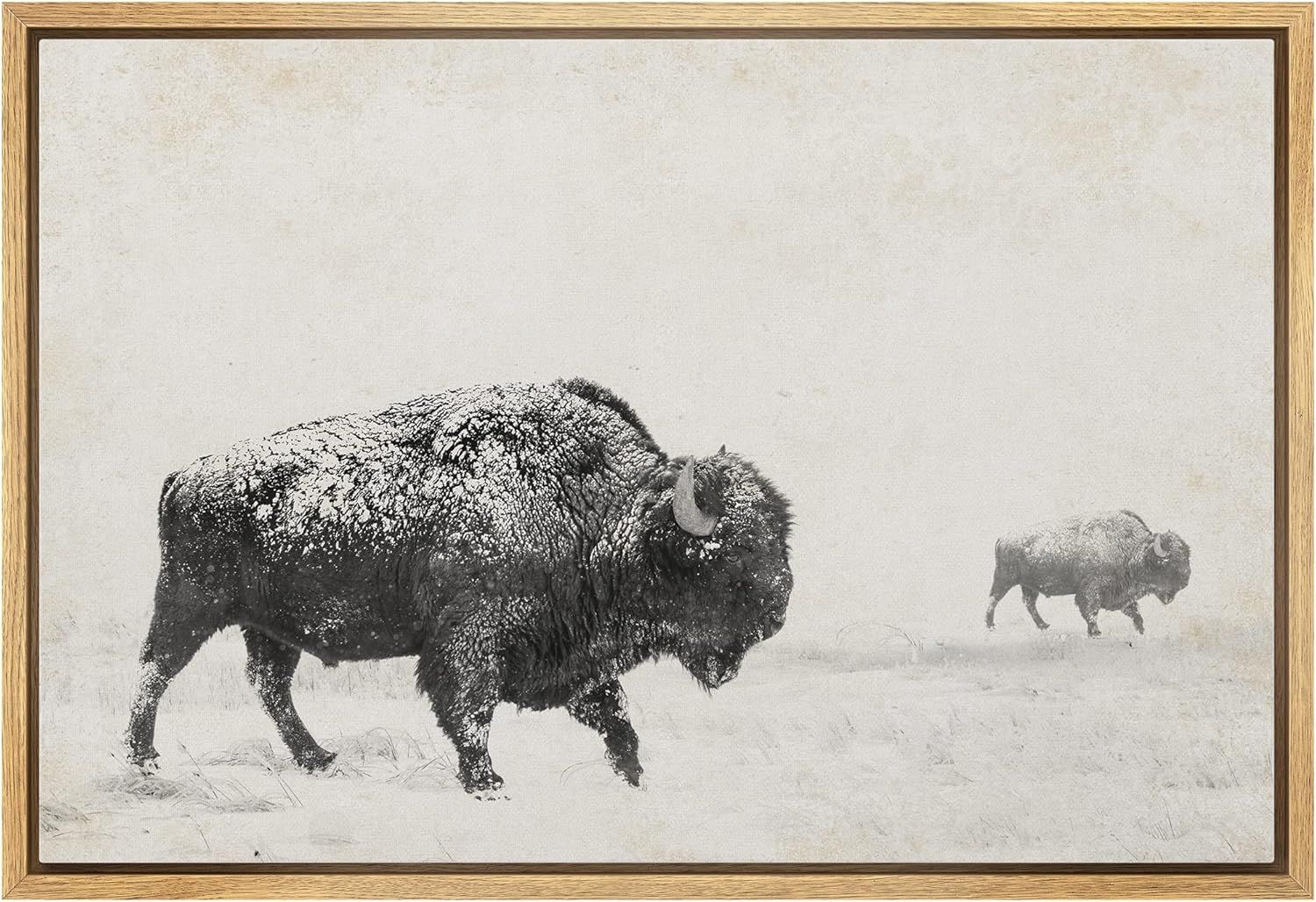 Black and White Bison Landscape Canvas Print with Natural Frame