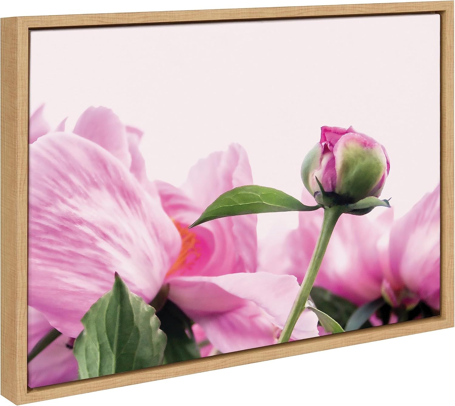 Pink Peony Bud Framed Canvas Wall Art, 18x24 Natural