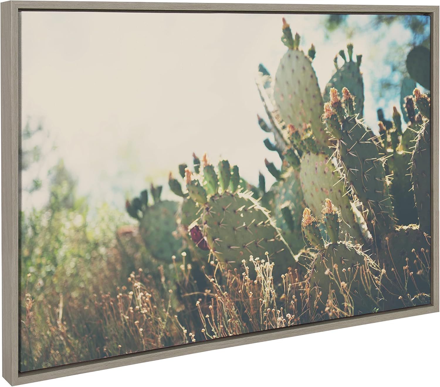 Gray Framed Desert Prickly Pear Cactus Canvas Wall Art