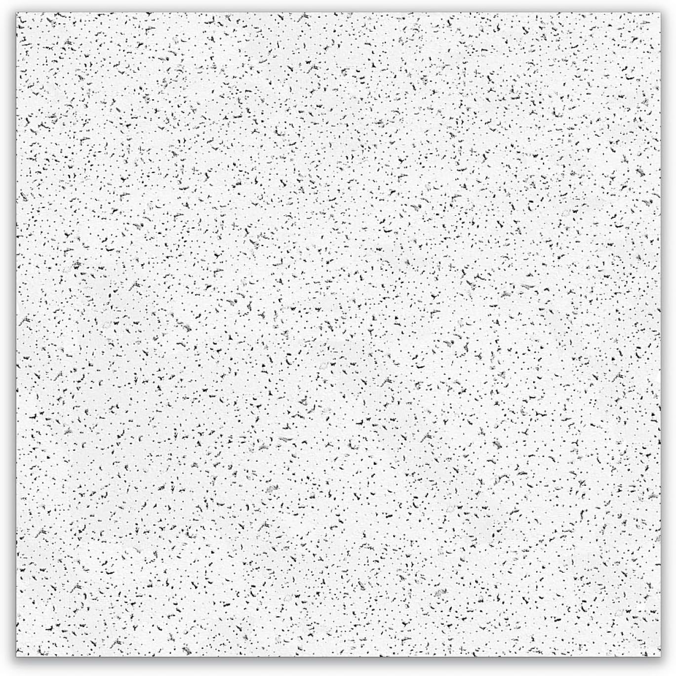 Cortega 2x2 White Acoustic Ceiling Tiles