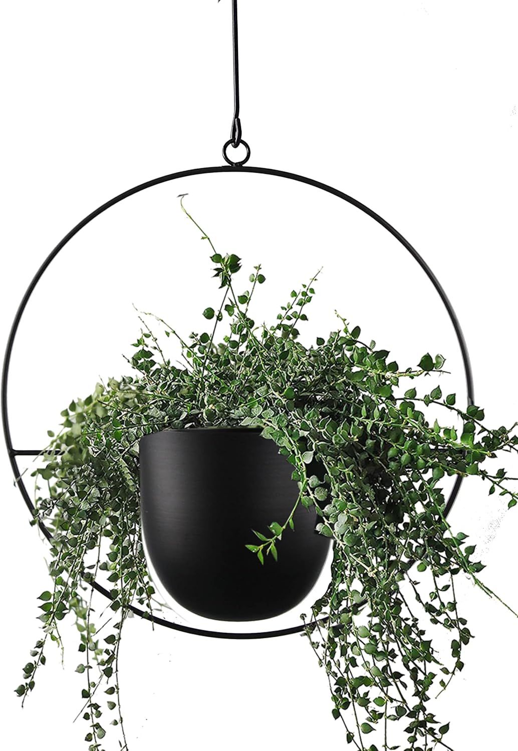 Black Iron Round Hanging Planter for Indoor Outdoor Use