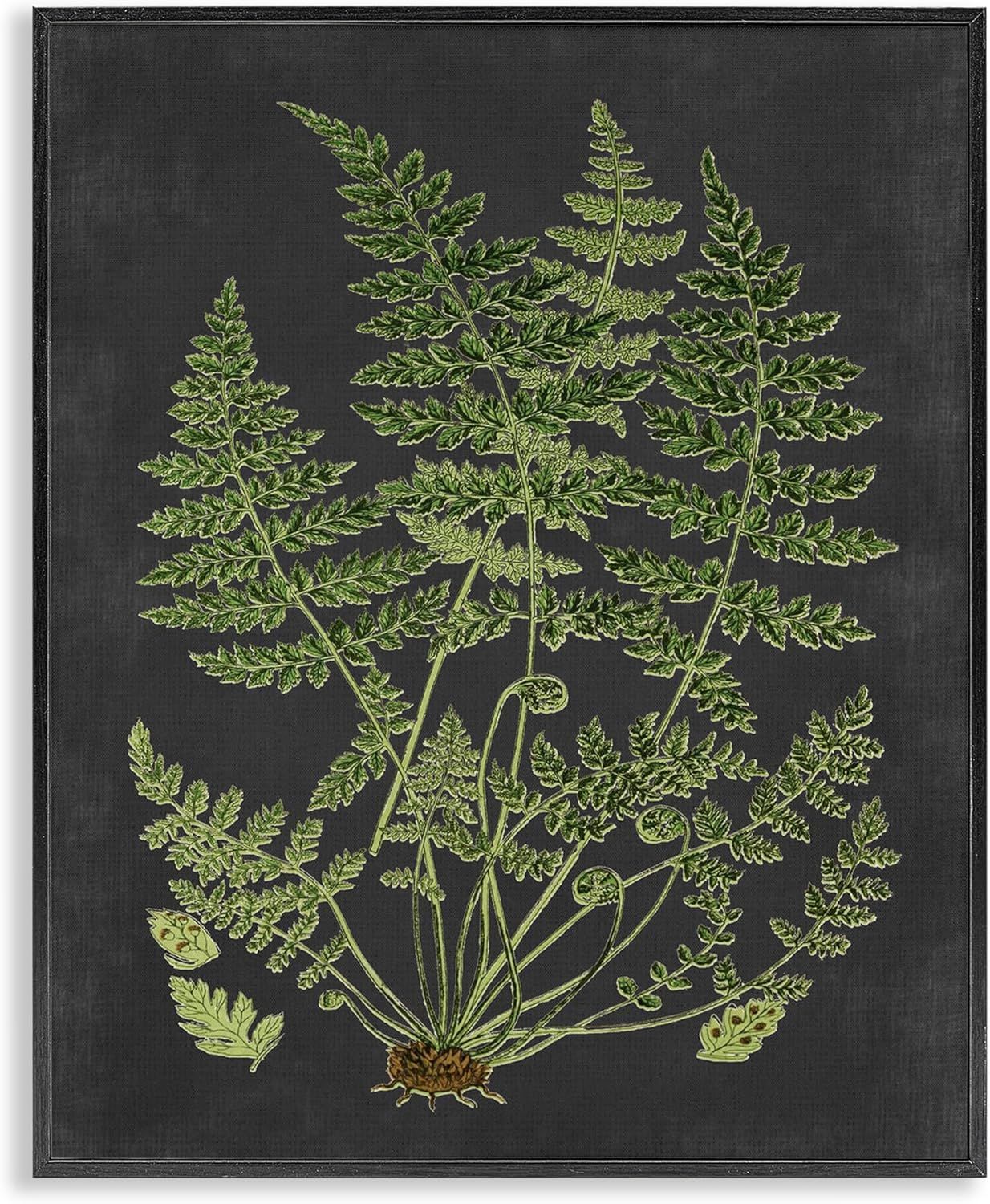 Botanical Green and Black Canvas Print with Ebony Frame