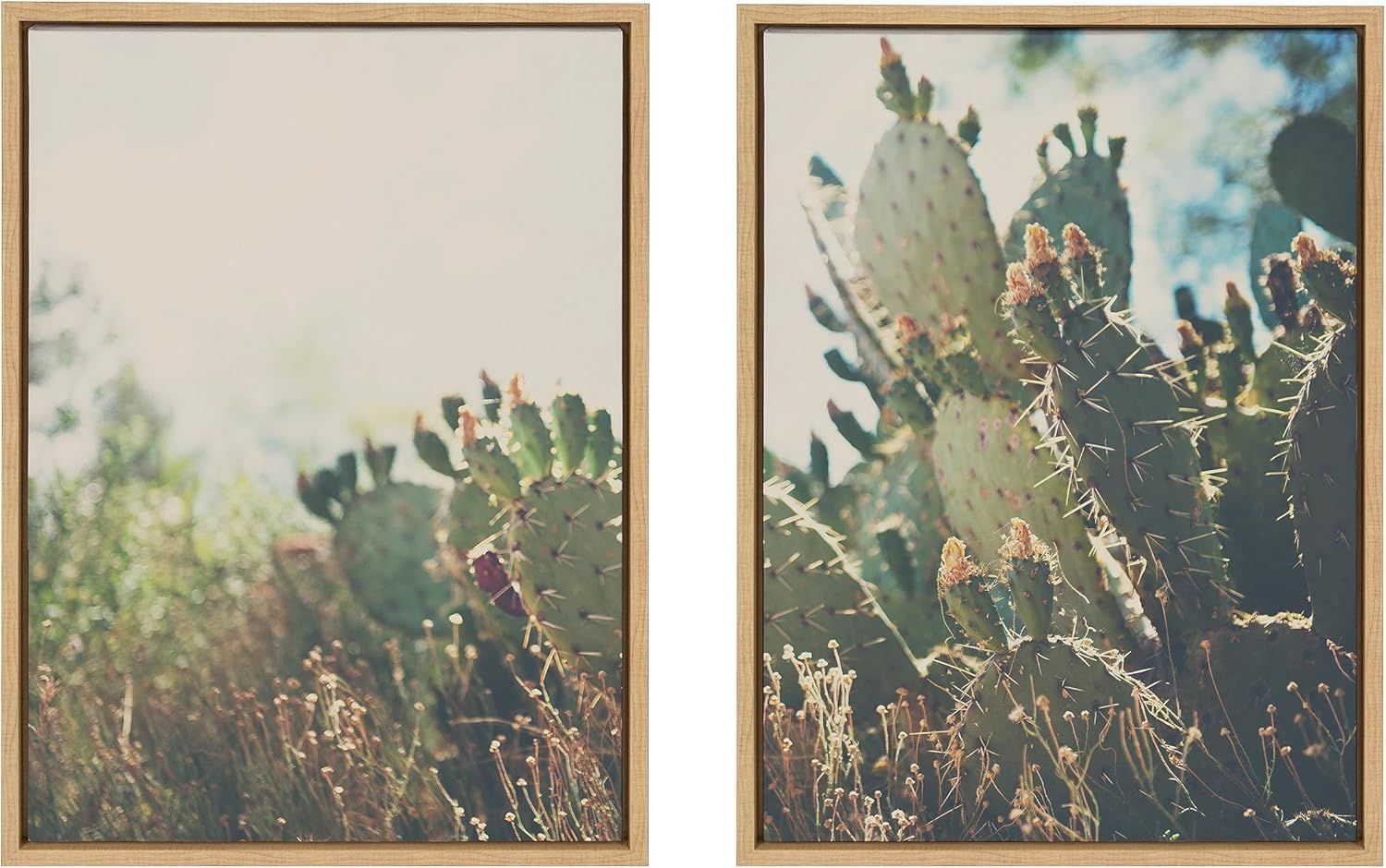 Natural Framed Desert Cactus Canvas Wall Art Set