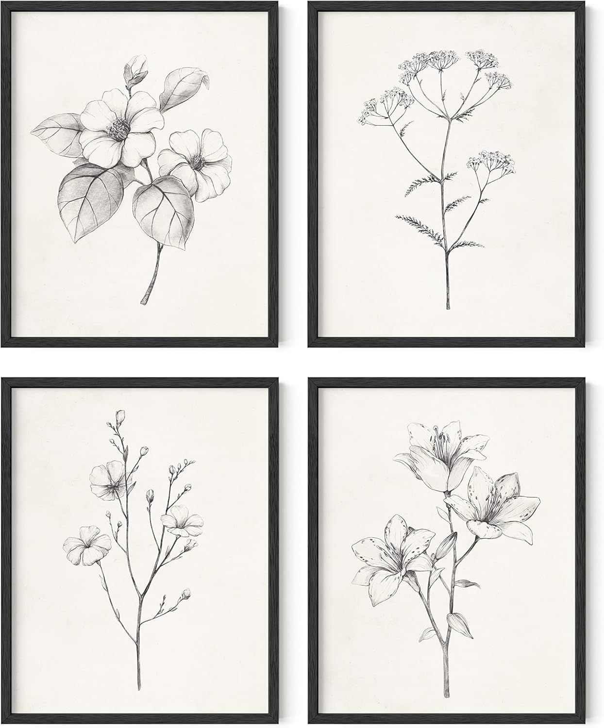 Black Framed Botanical Flower Prints Set of 4