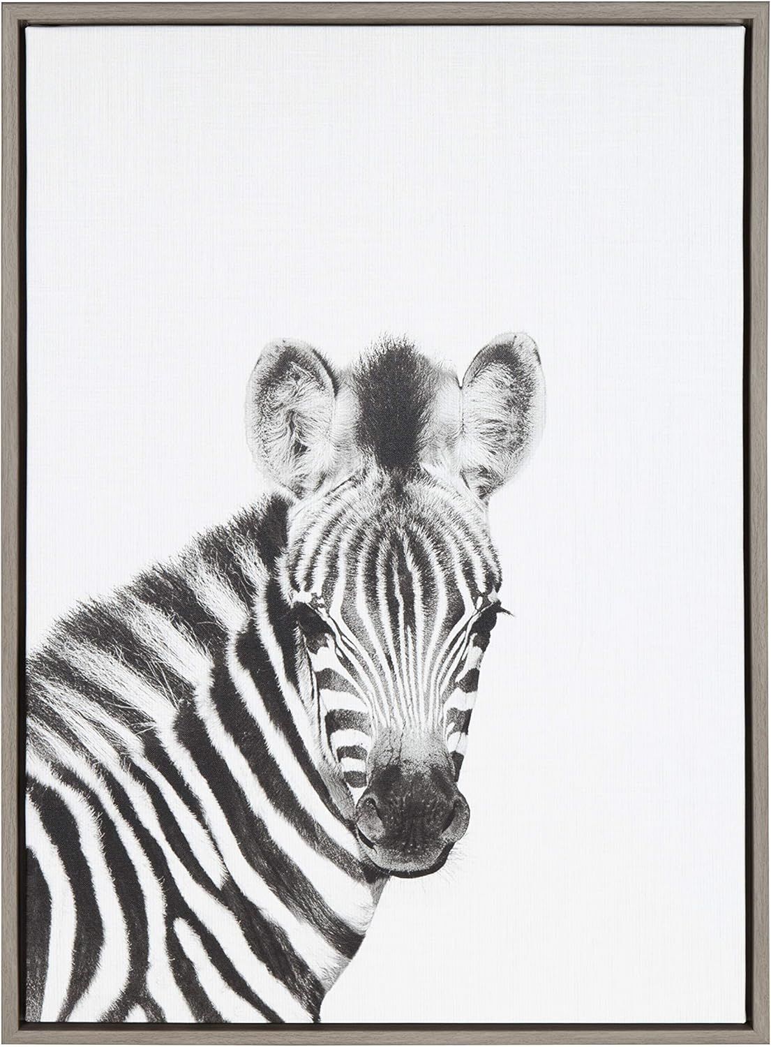 Gray Framed Black and White Baby Zebra Canvas Wall Art