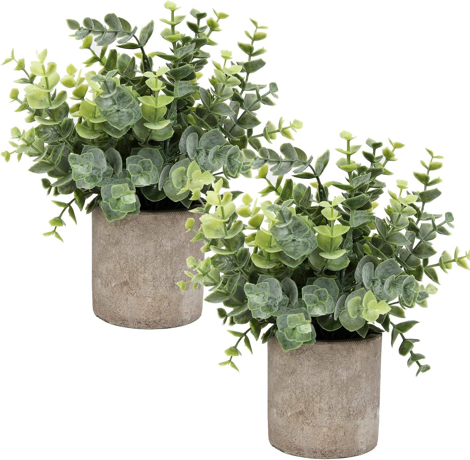 Mini Potted Artificial Eucalyptus and Boxwood Greenery Set