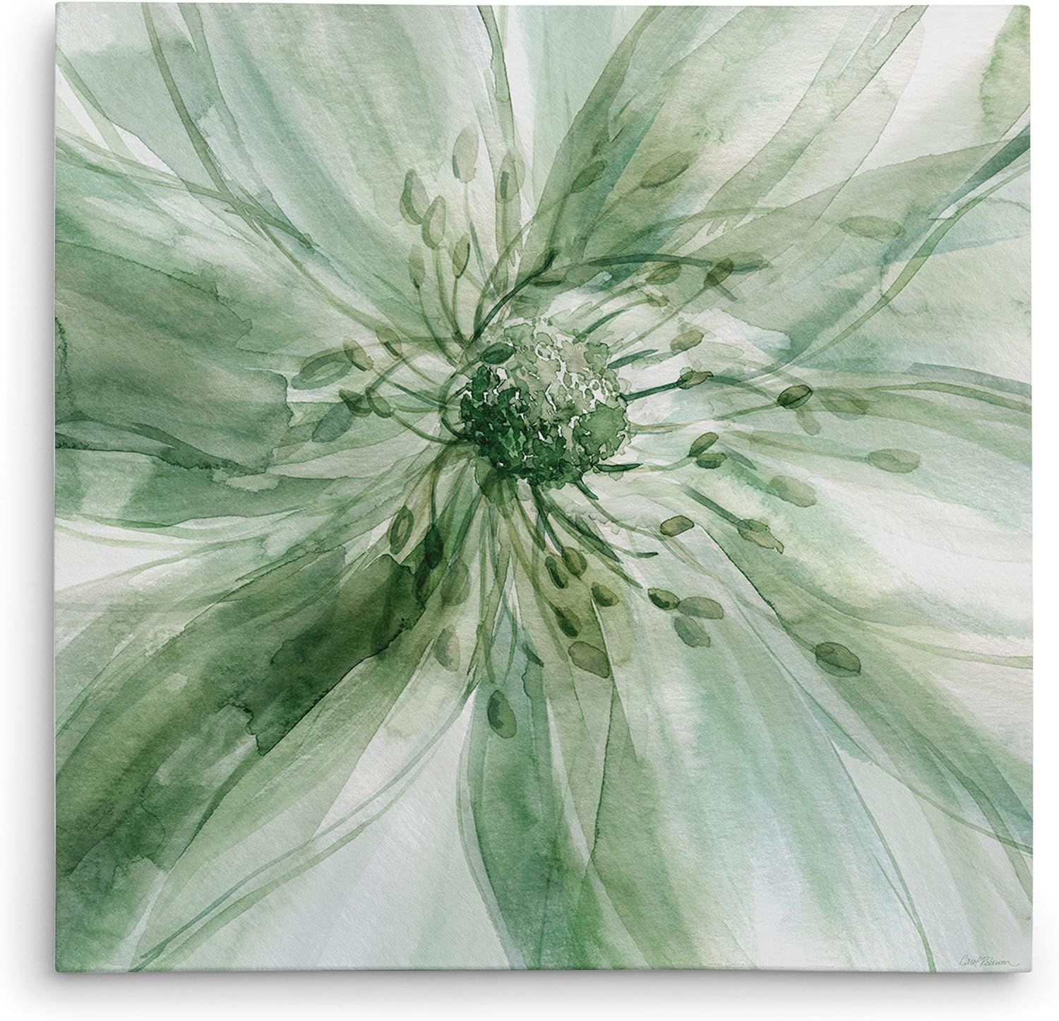 Macro Sage Flower Green Canvas Wall Art, 32x32