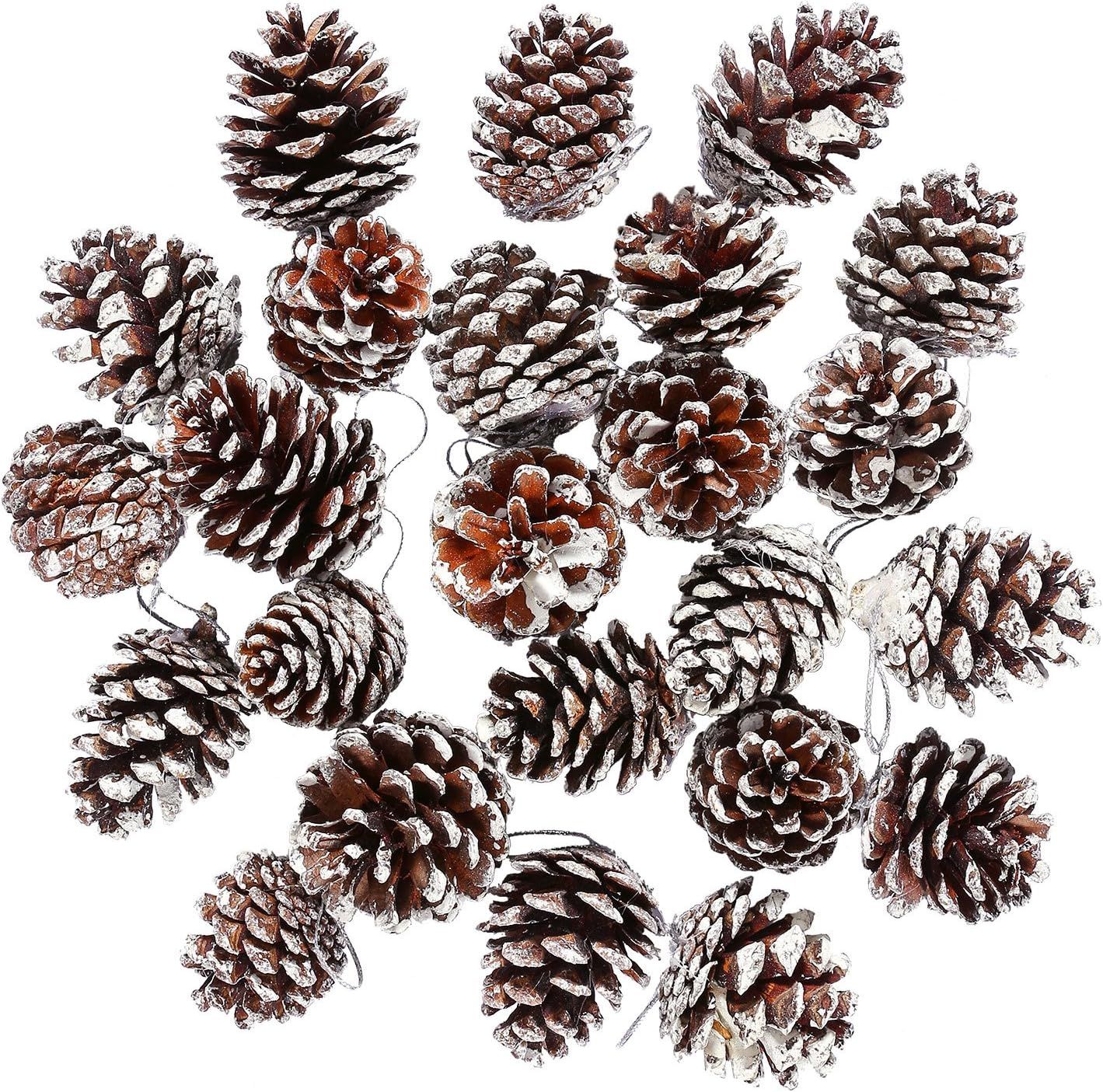 Natural Pinecones with White Tips and Silver String, 24 Pieces