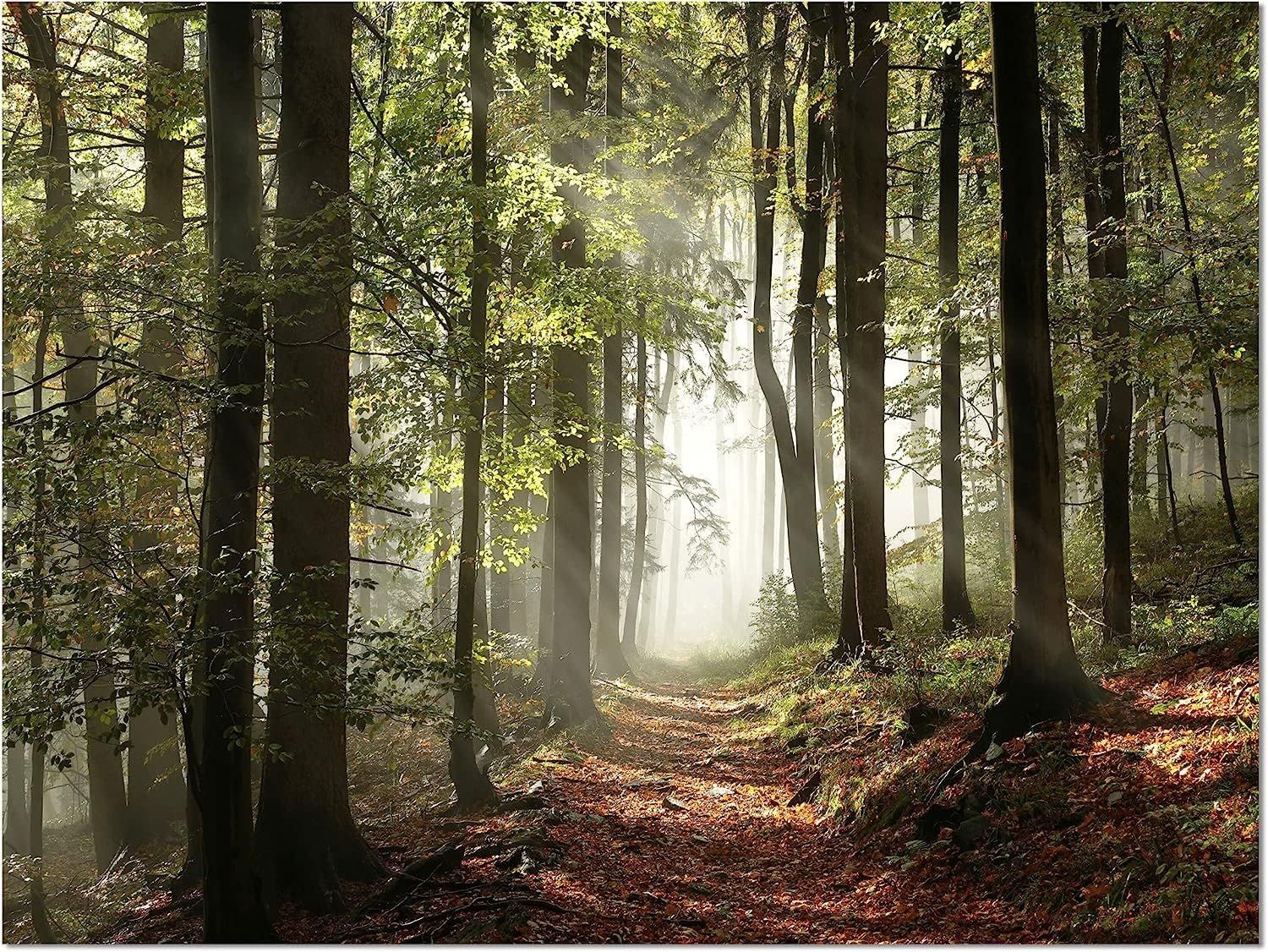 Green Fall Forest with Sun Rays Canvas Print