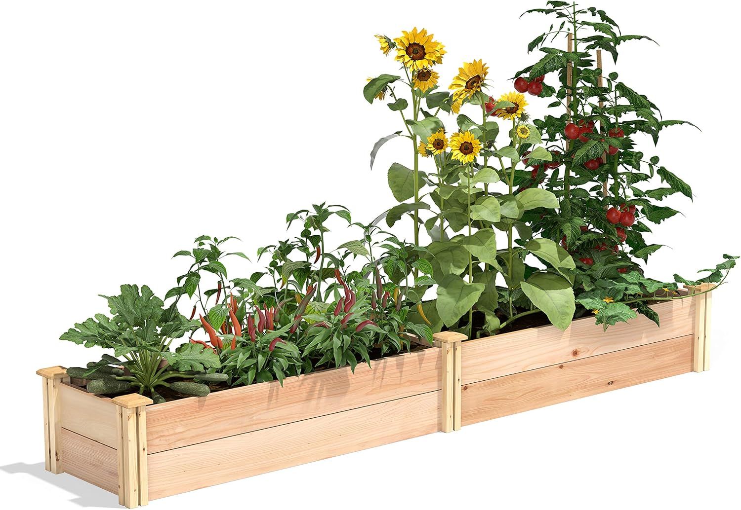 Premium Cedar Extra Large Raised Garden Bed with Natural Finish