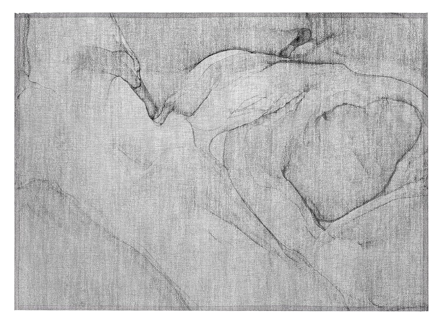 Gray Flat Woven Synthetic Rectangular Washable Rug