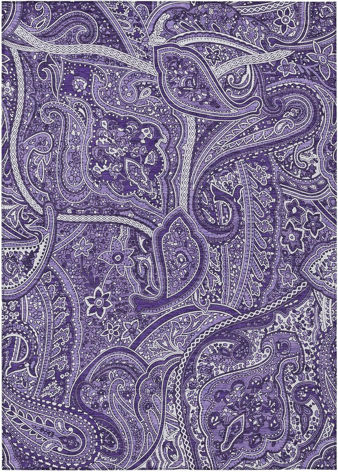 Chantille Purple Paisley 8' x 10' Indoor Outdoor Area Rug