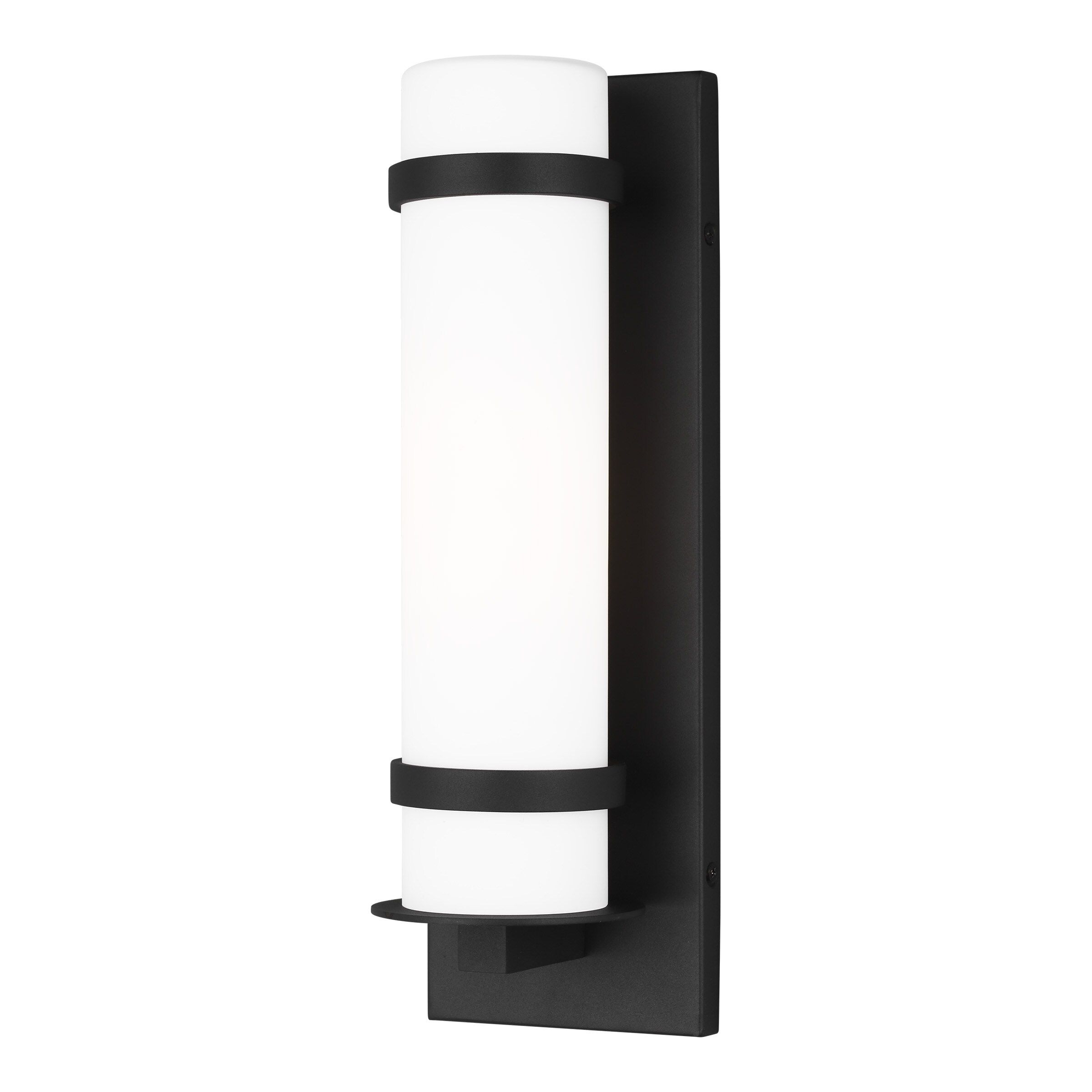 Alban 14" Black Outdoor Wall Sconce with Etched Opal Glass