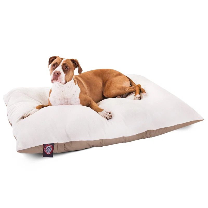 Orthopedic Elevated Outdoor Large Pet Bed in Khaki