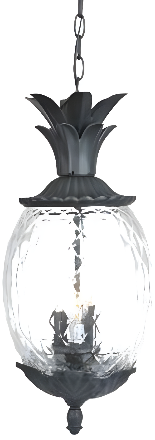 Lanai Matte Black Pineapple Glass Outdoor Hanging Lantern