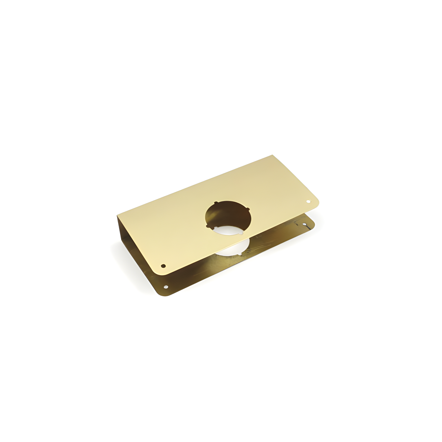 Polished Brass Tamper Resistant Door Reinforcer