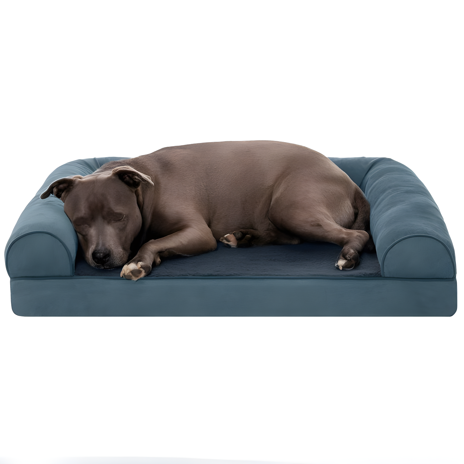 Large Orion Blue Orthopedic Elevated Pet Sofa Bed