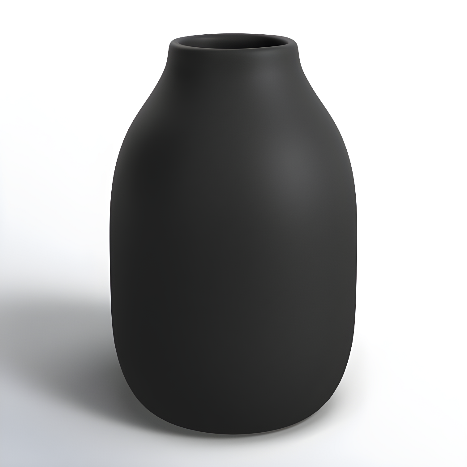 Matte Black Porcelain Bottle Vase