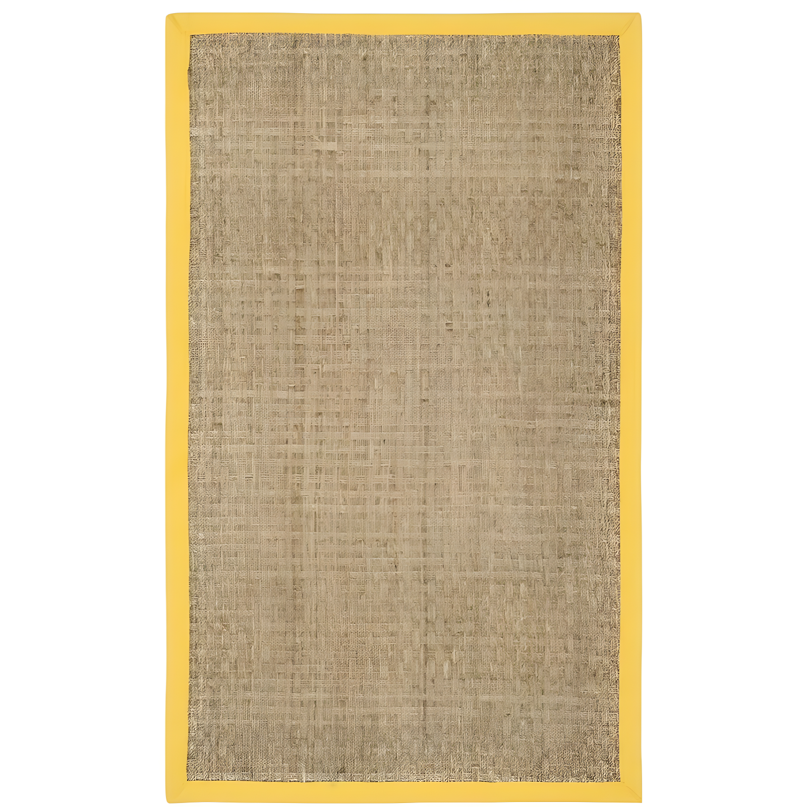 Natural and Gold Seagrass Area Rug with Cotton Border