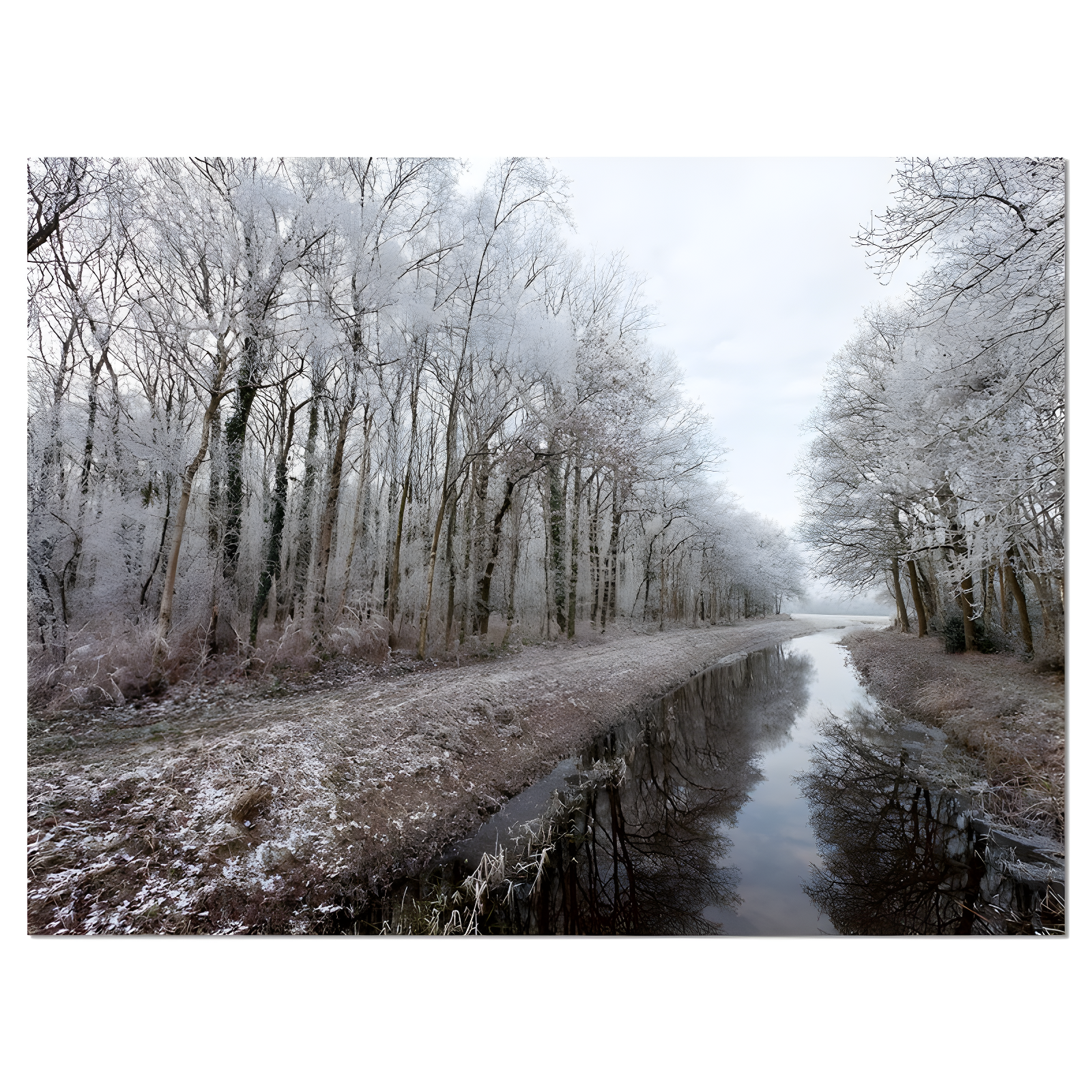 Winter Trees Landscape Canvas Print with Pine Frame