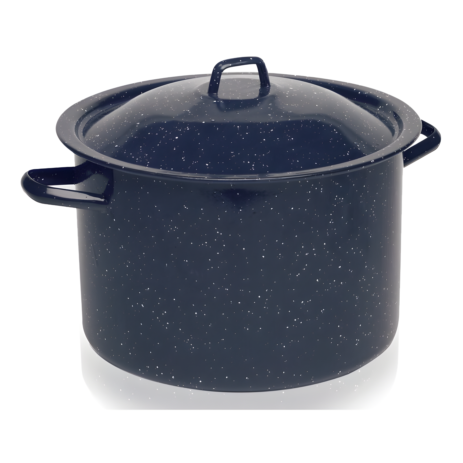 Blue Speckled Enamel 4 Quart Stock Pot with Lid