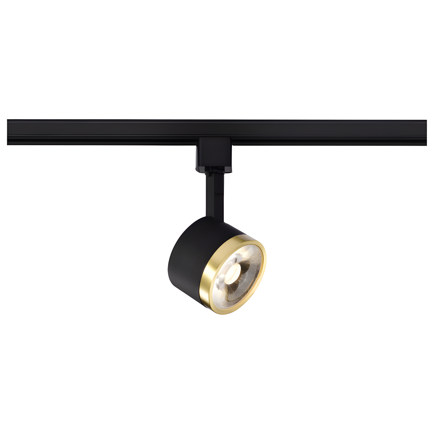 Matte Black and Brushed Brass LED Adjustable Track Head