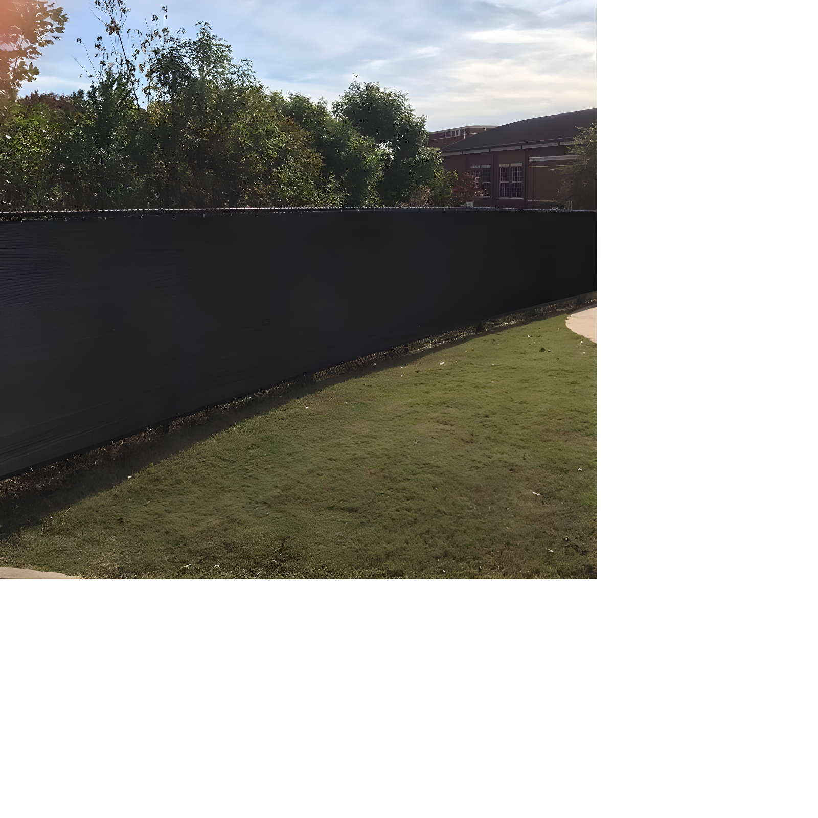 Orion 5 ft. x 50 ft. Black Privacy Screen Fence