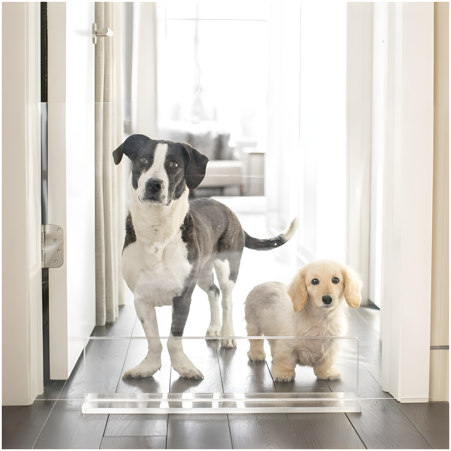 Clear Acrylic Freestanding Pet Gate Panel, 36" Wide