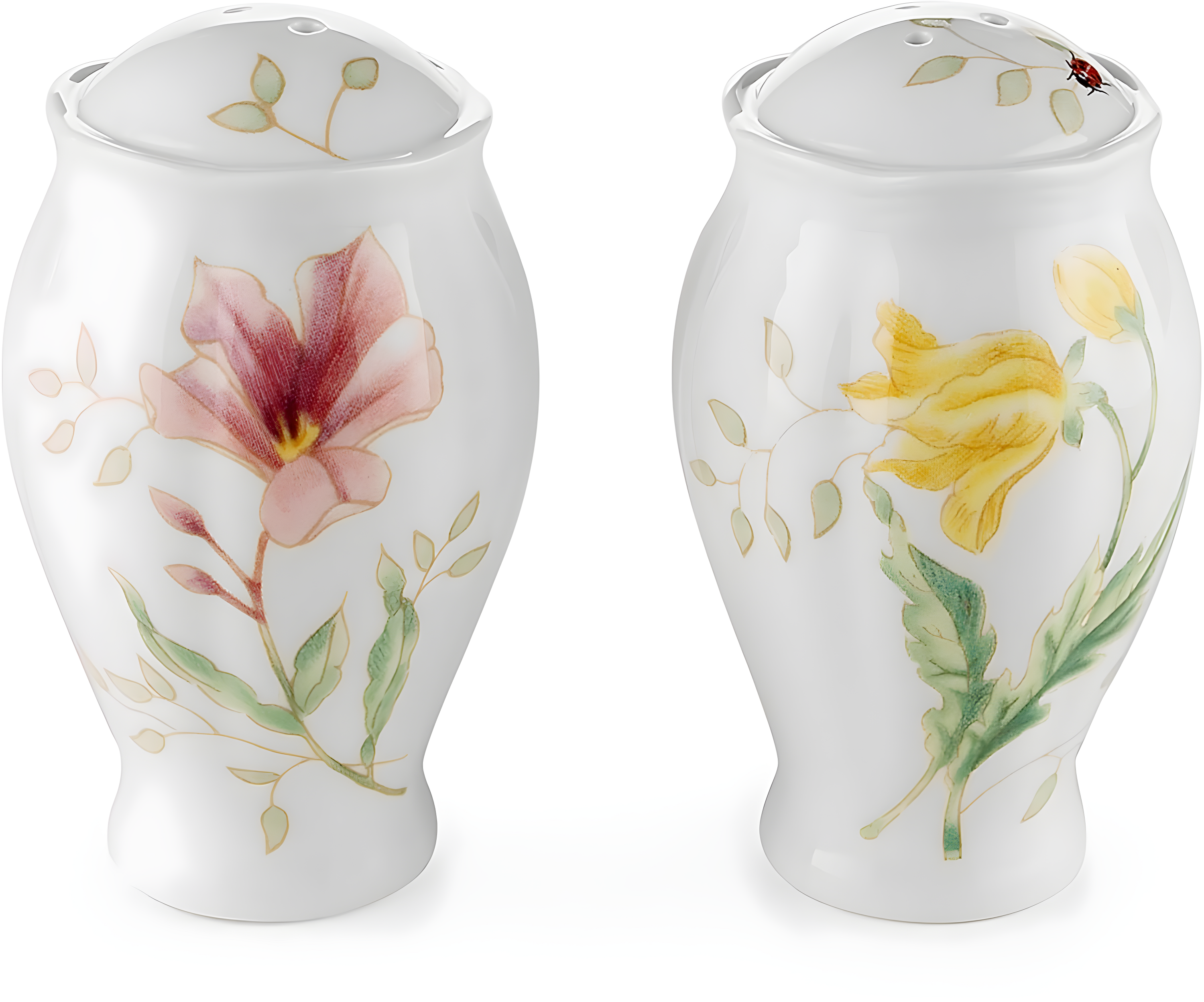 Butterfly Meadow Floral Porcelain Salt and Pepper Shaker Set