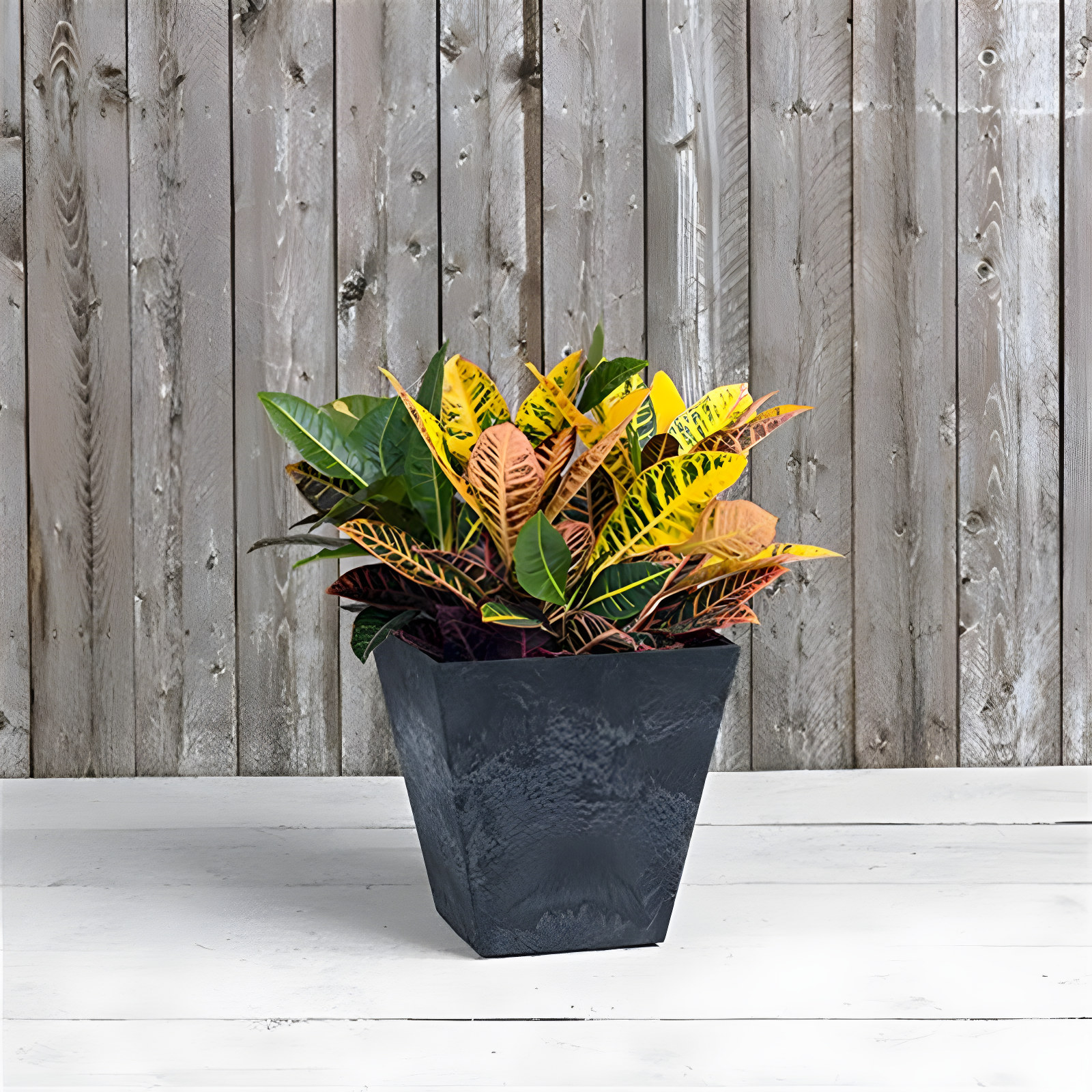 Ella Square Black Resin Planter for Indoor and Outdoor Use